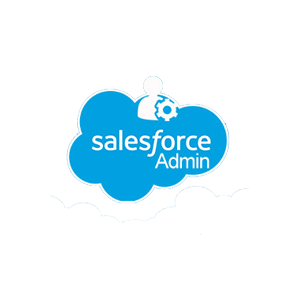 Salesforce Admin